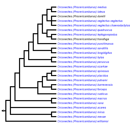 taxon links