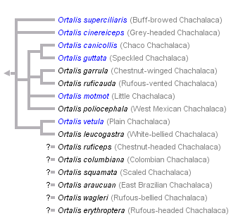 taxon links