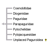 taxon links