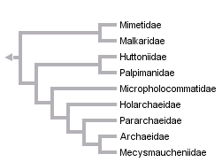 taxon links