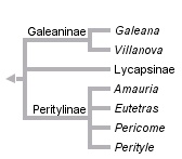 taxon links