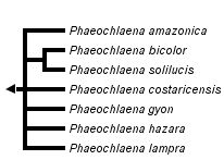 taxon links