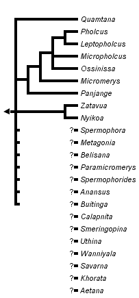 taxon links