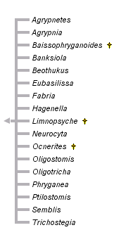 taxon links