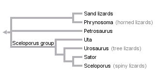 taxon links