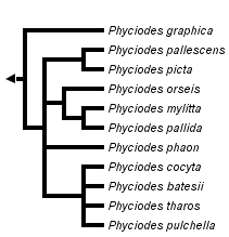 taxon links