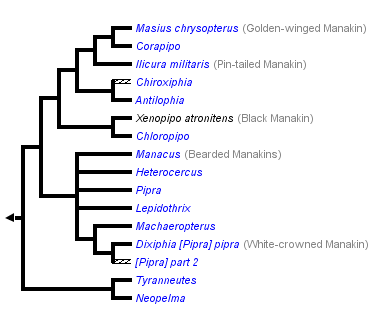 taxon links