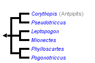 taxon links