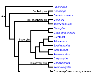 taxon links