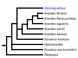 taxon links