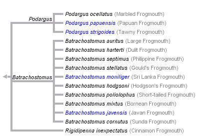 taxon links