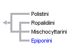 taxon links