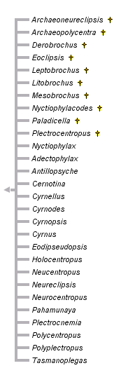 taxon links