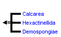 taxon links