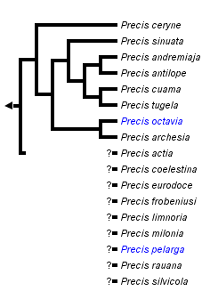 taxon links