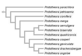 taxon links