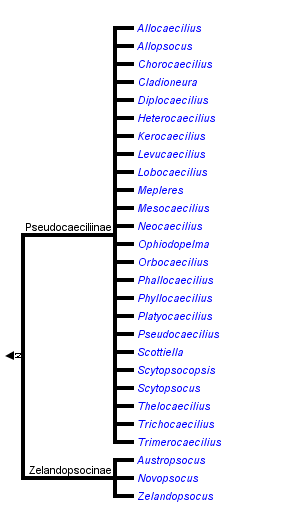 taxon links