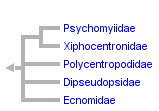 taxon links