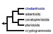 taxon links