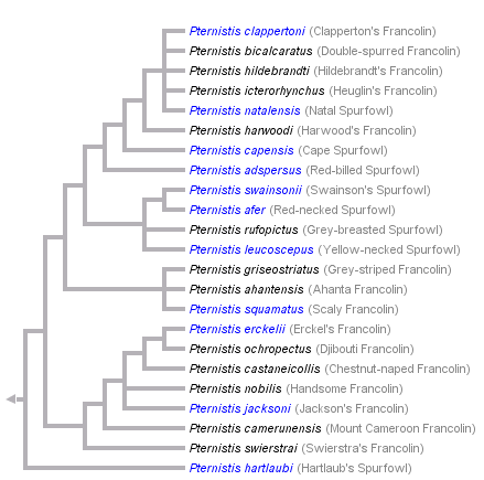 taxon links