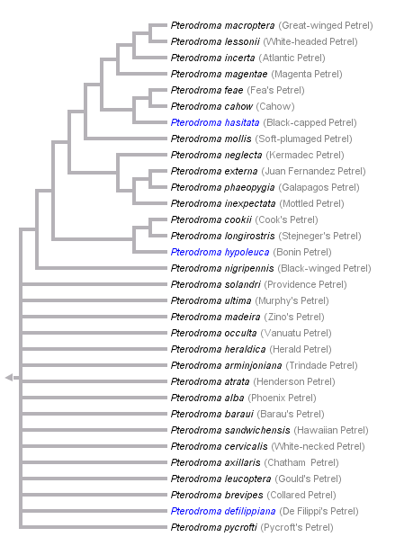 taxon links