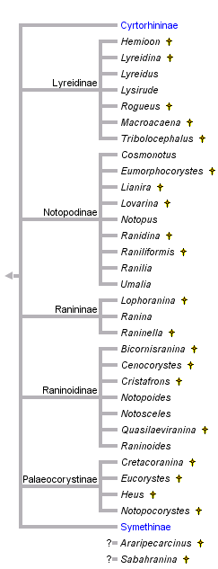 taxon links