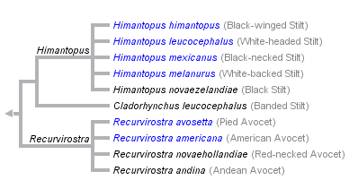 taxon links