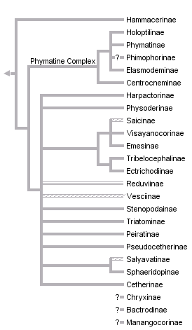 taxon links