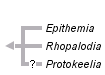 taxon links