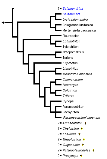 taxon links