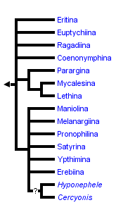 taxon links