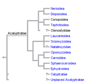 taxon links