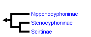 taxon links