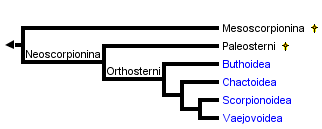 taxon links