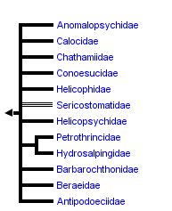 taxon links