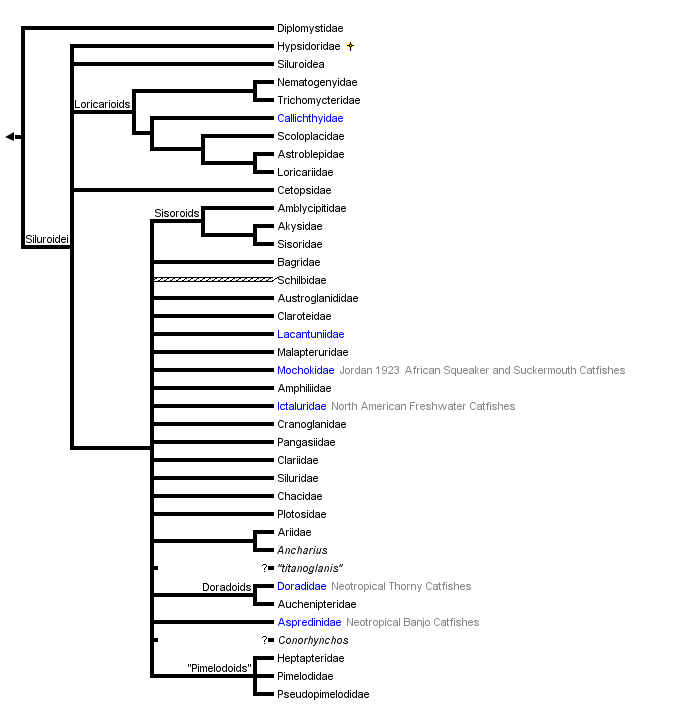 taxon links