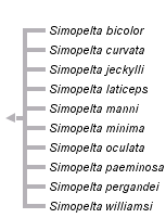 taxon links