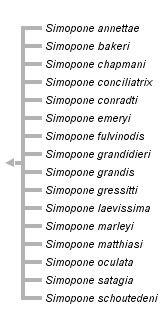 taxon links