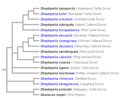 taxon links