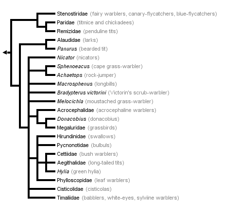 taxon links