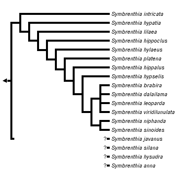 taxon links