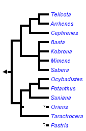 taxon links