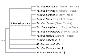 taxon links