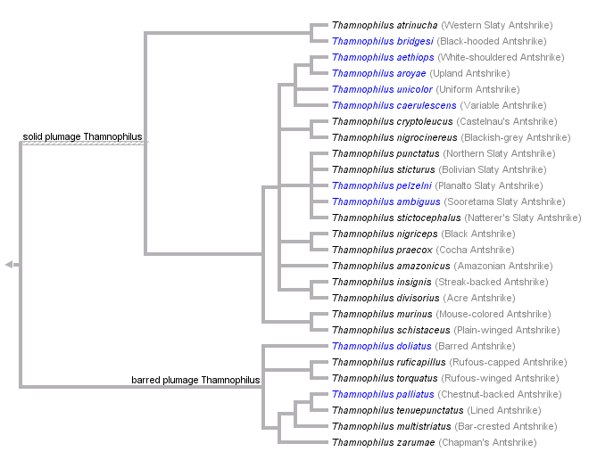 taxon links