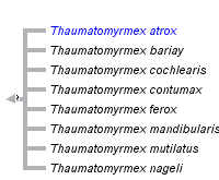 taxon links