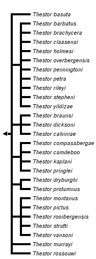 taxon links