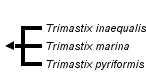 taxon links