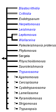 taxon links