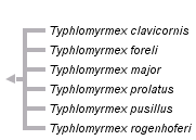 taxon links