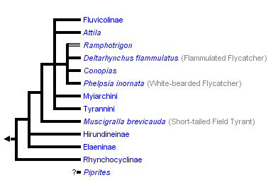 taxon links